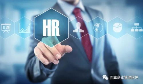 戰略型同鑫ehr系統 賦能集團型企業，根治人力資源管理的五大頑疾